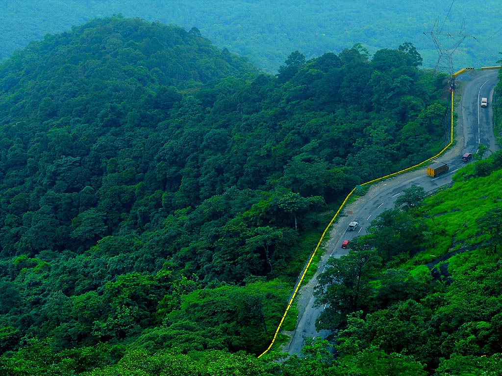 Wayanad Nature